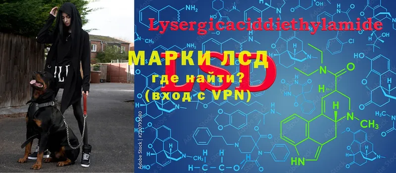 blacksprut ссылка  Оса  Лсд 25 экстази ecstasy 